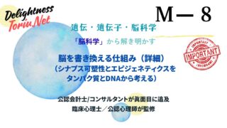 性格は変えられないは嘘。ヘブの法則とLTPが示す脳を物理的に書き換える仕組みを解説。エピジェネティクスによる運命の再設計メソッド。